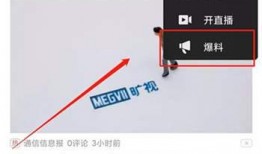 别人的视频能爆料吗,从他人视频内容中巧妙爆料的技巧解析